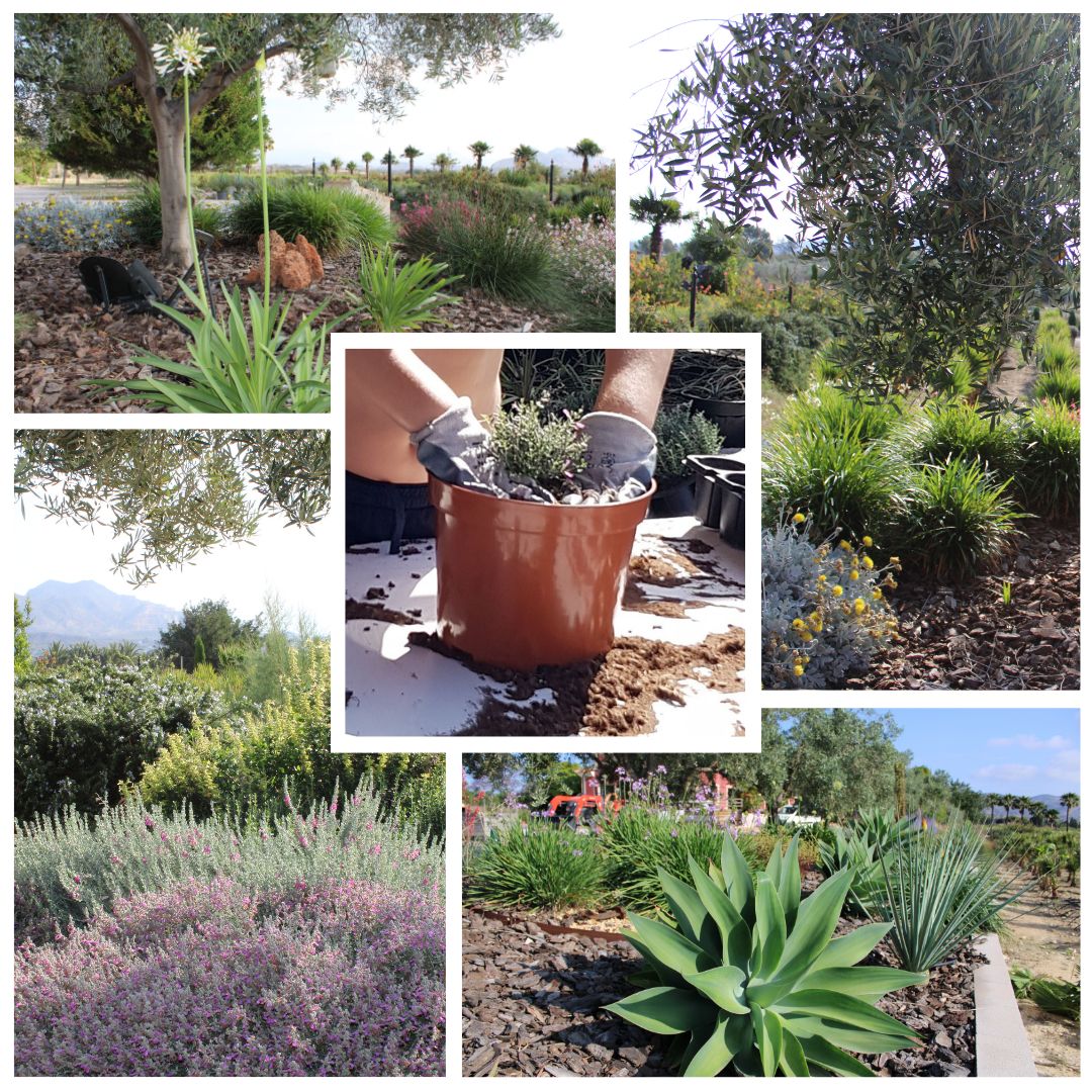 jardines sostenibles